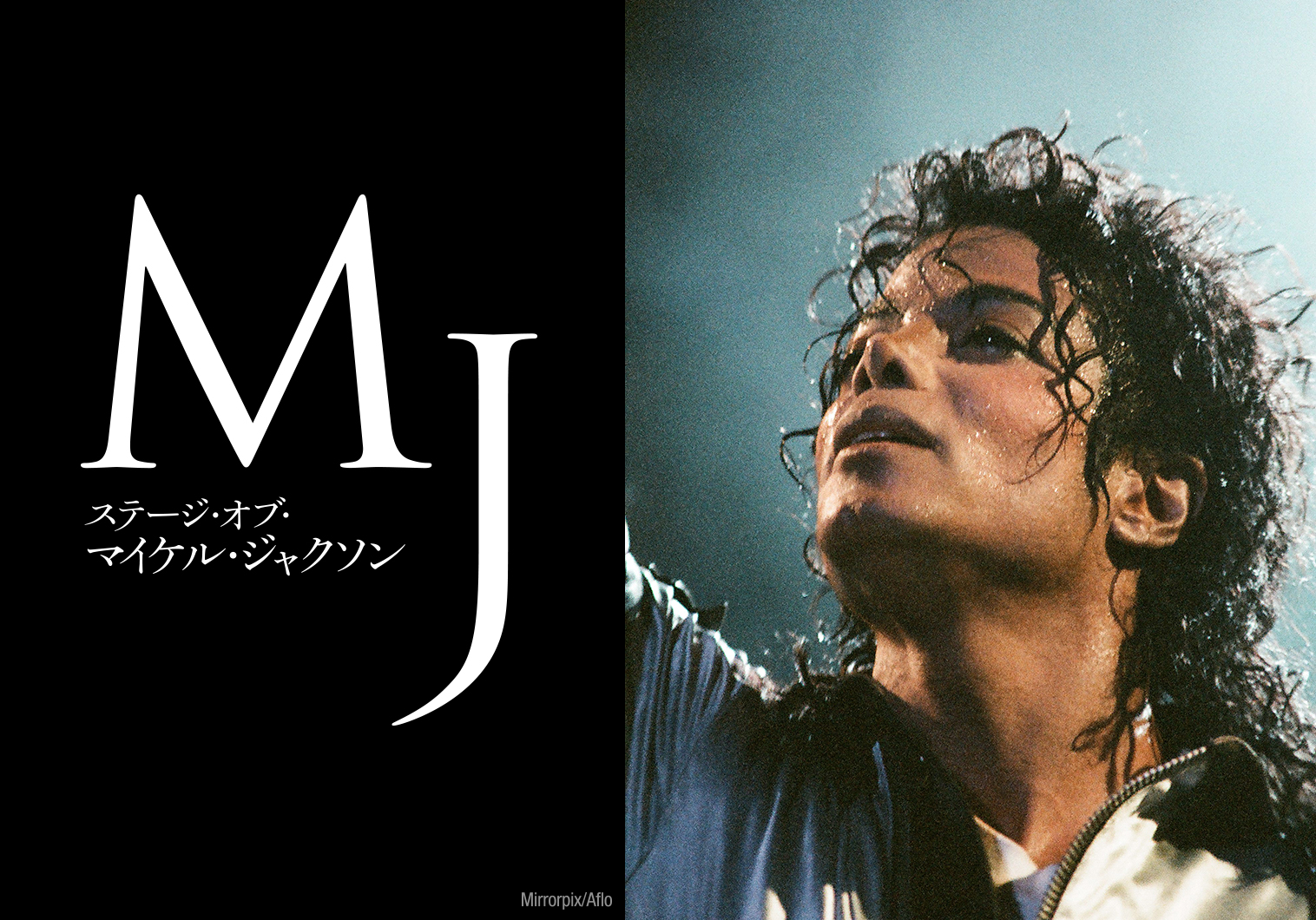 人気人気SALEマイケル・ジャクソン Michael Jackson / ソフトビニールコレクション Soft Vinyl Collection 芸能人、タレント