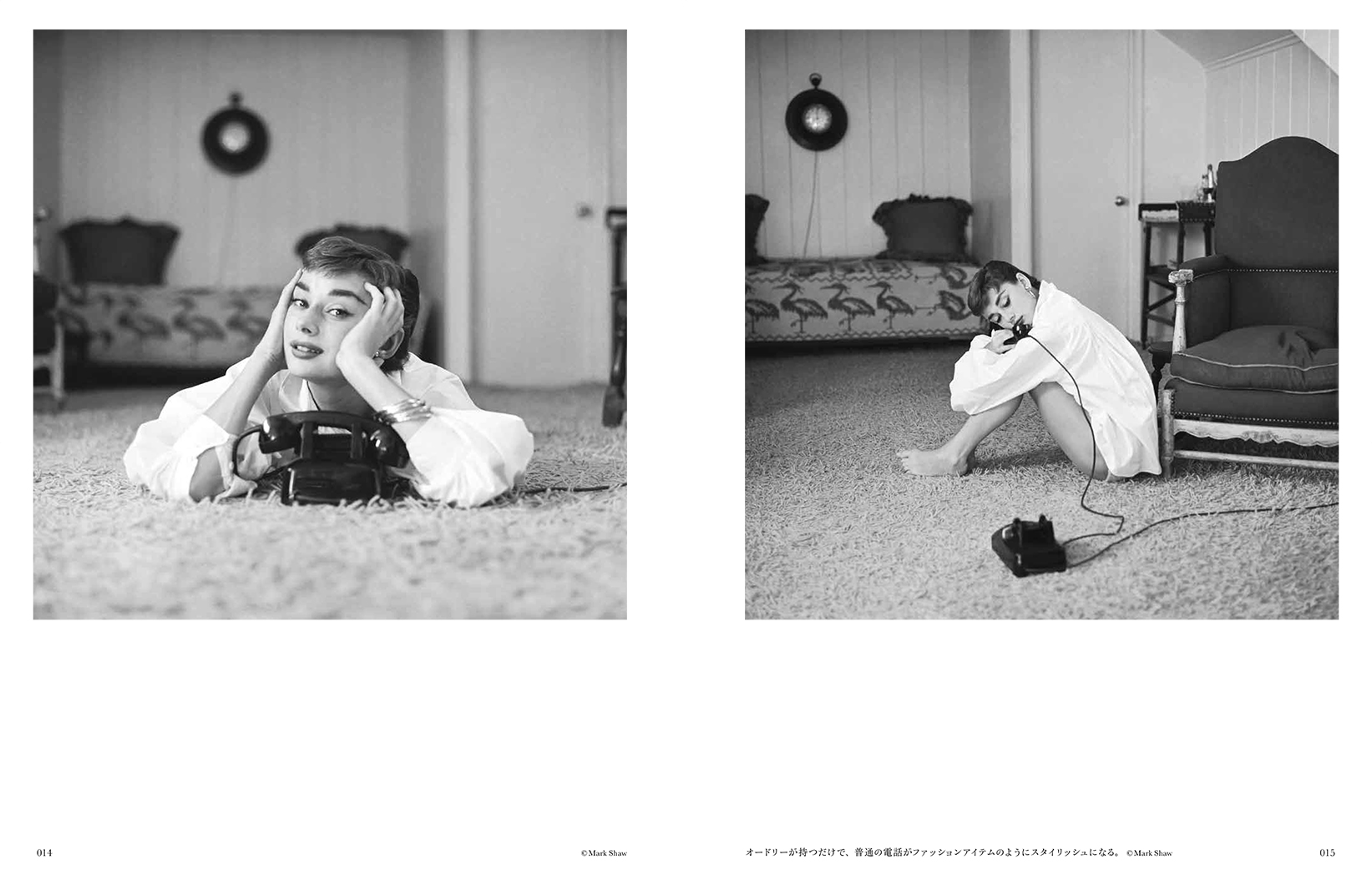 写真集 Audrey Hepburn オードリー ヘプバーン 株式会社クレヴィス
