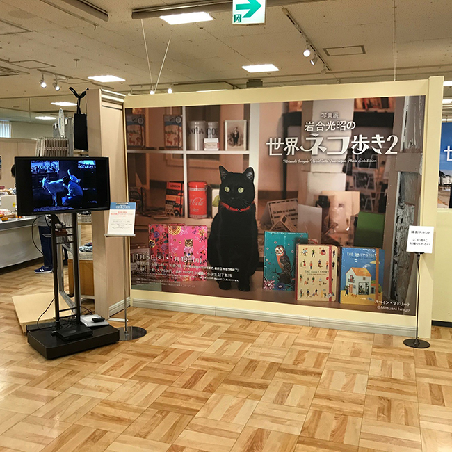 高松三越で 岩合光昭の世界ネコ歩き2 写真展が開催中 株式会社クレヴィス