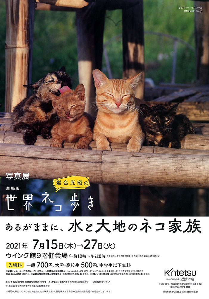 あべのハルカス近鉄本店（大阪府）で写真展「劇場版 岩合光昭の世界 