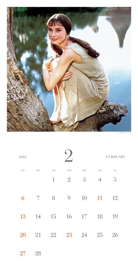 Audrey Calendar 22 株式会社クレヴィス