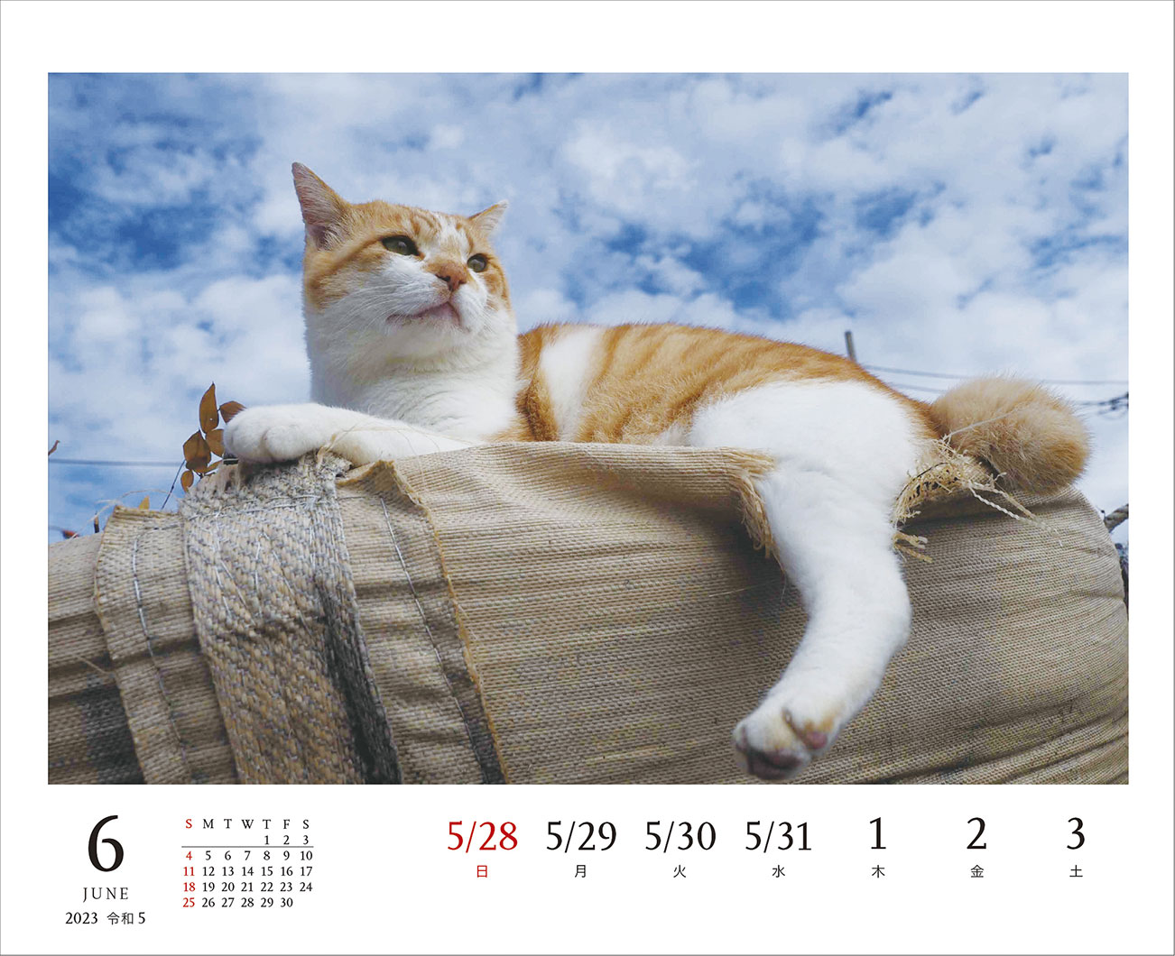 2023 岩合光昭 ねこ weekly calendar | 株式会社クレヴィス