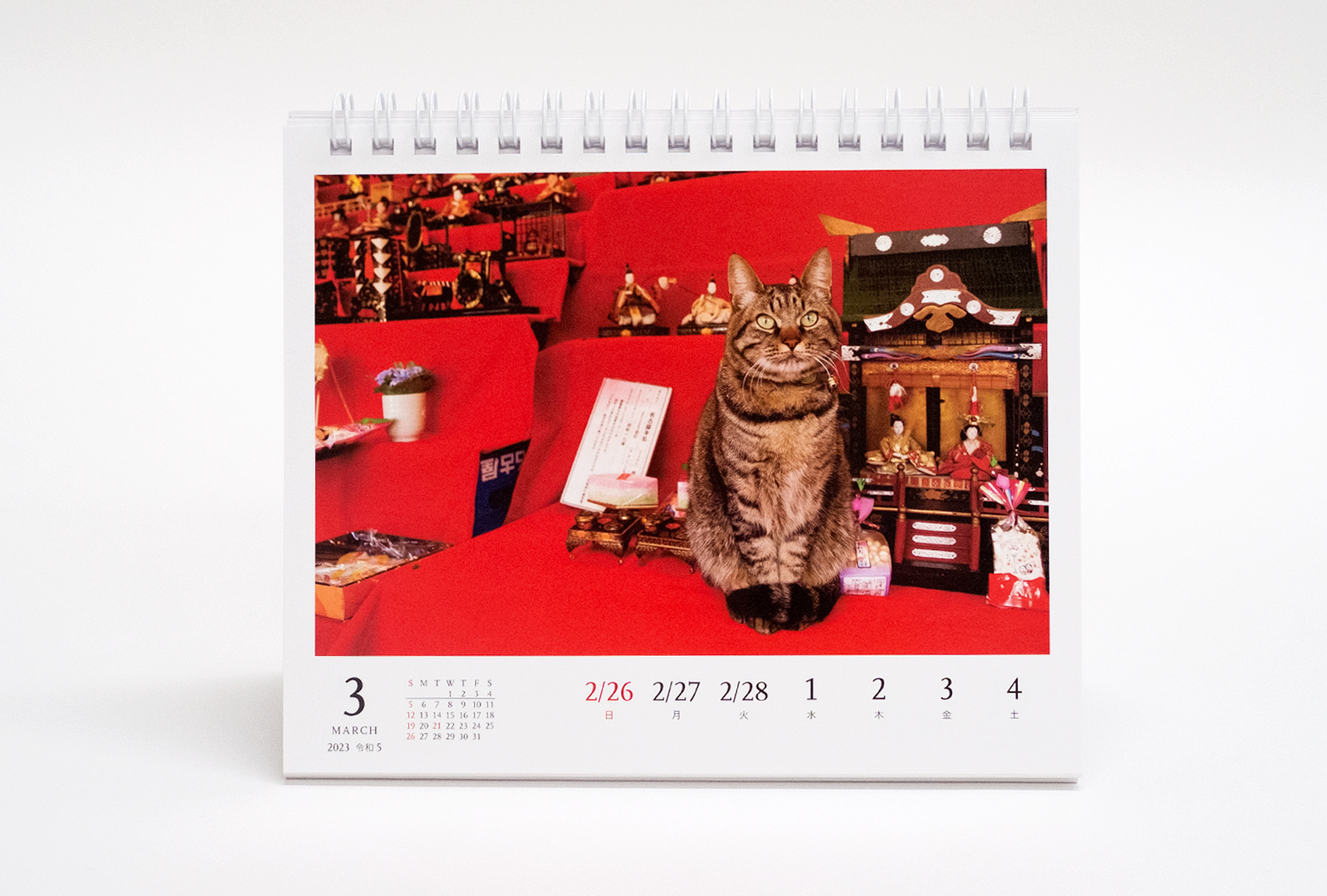 2023 岩合光昭 ねこ weekly calendar | 株式会社クレヴィス