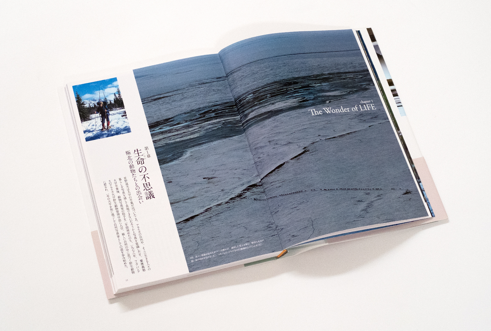 CREVIS ONLINE STORE】今月の1冊～THIS MONTH