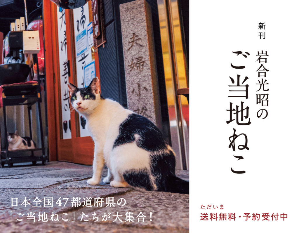 岩合光昭のネコ : 47都道府県の408にゃんこ 大型初版極美品‼️
