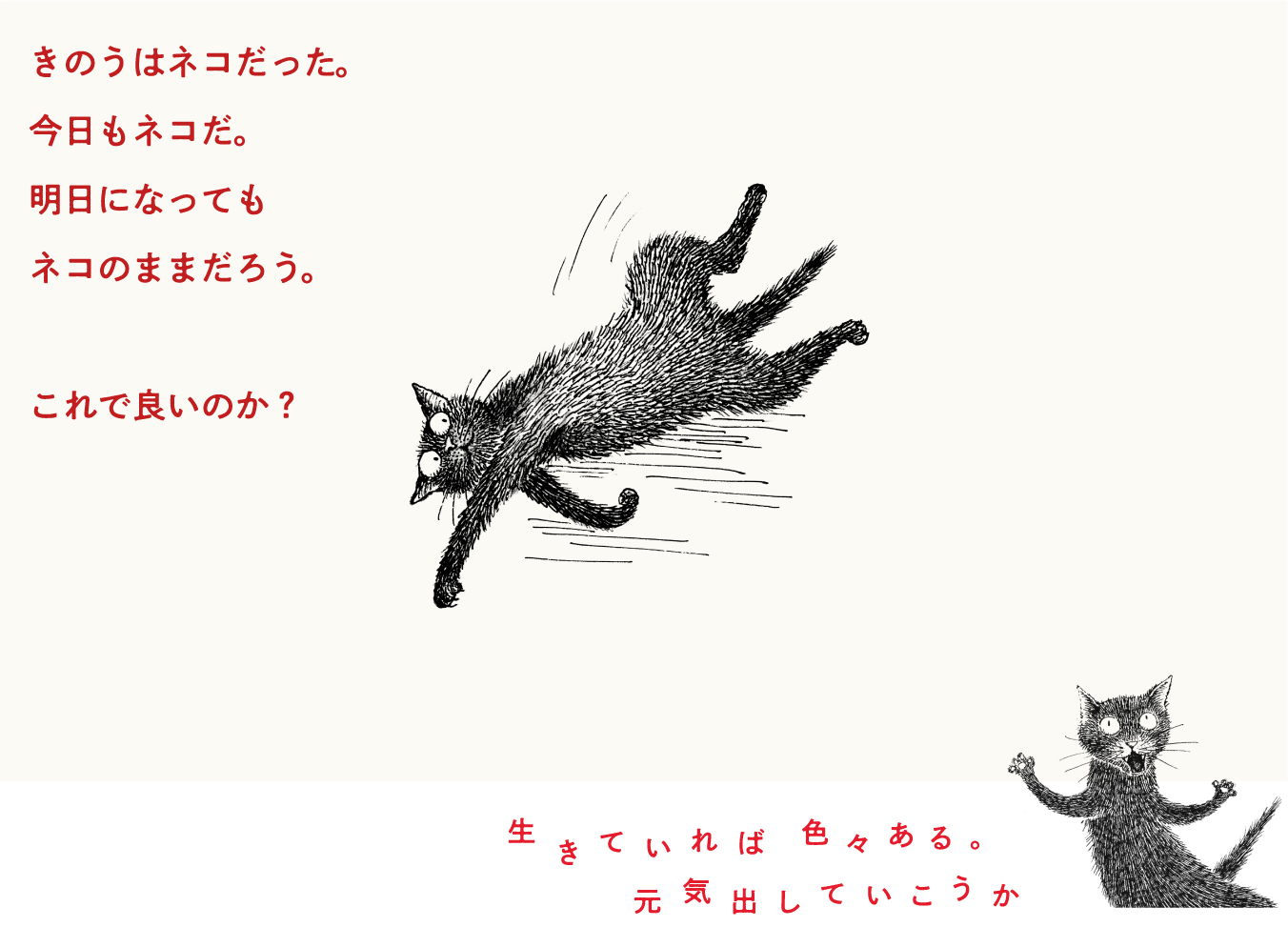 GOMA 黒ネコ、日々色々。』 発売のお知らせ | 株式会社クレヴィス